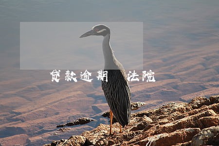 贷款逾期 法院